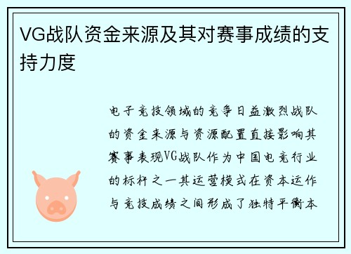VG战队资金来源及其对赛事成绩的支持力度